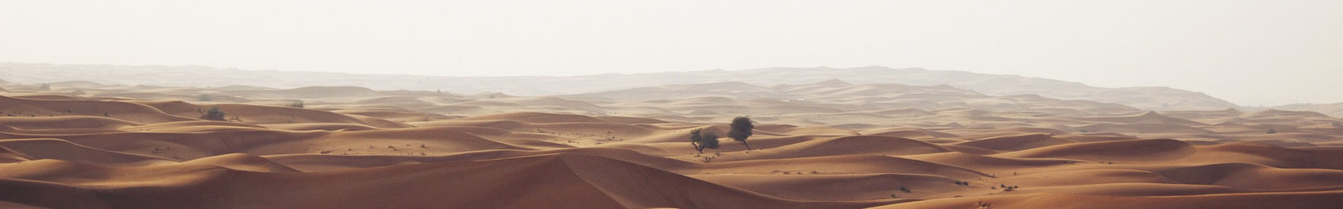 ݼʳƷƼ޹˾